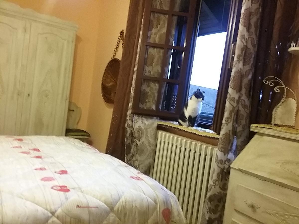 San Giusto Canavese B&B La Gerbolina المظهر الخارجي الصورة